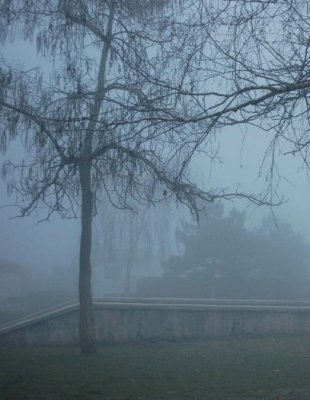 Atenţie, şoferi! Se circulă în condiţii de ceaţă şi polei